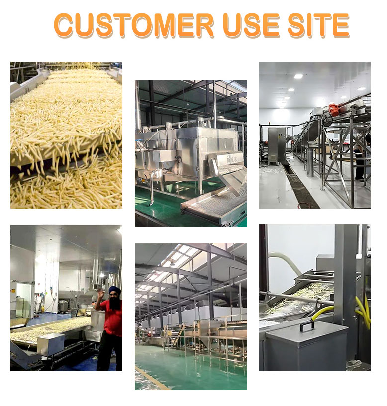 380V 50HZ Automatic Fresh Potato Chips Production Line For Frozen French Fries