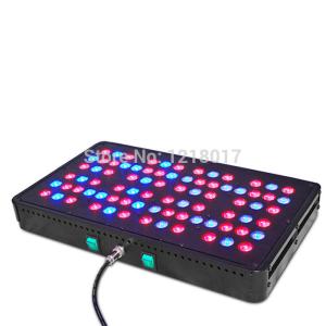 China Choosing the Right Garden plants Led Grow Lights wholesale
