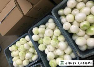 China Natural Fresh Onions , Fresh White Onion Suitable Dry Storage Environment wholesale