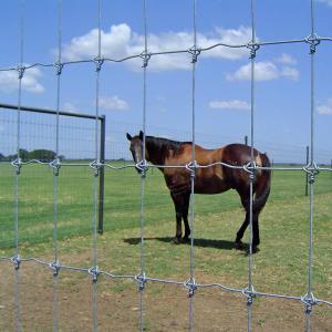 China Goat Farm Fixed Knot Field Fence Galvanized Stainless Steel wholesale