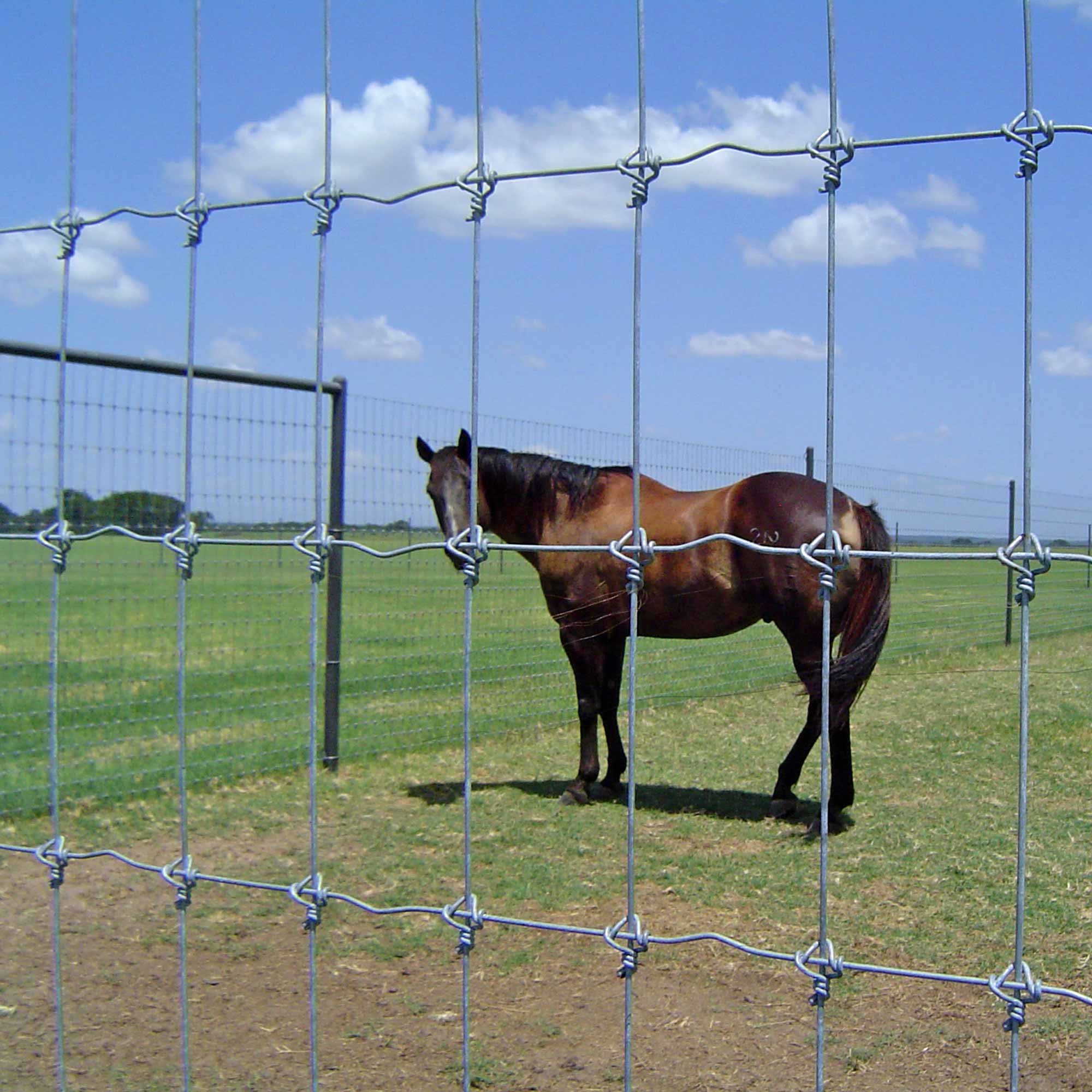 Hot Dip Galvanized Deer Fixed Knot Fence 4ft 5ft 6ft 7ft 8ft