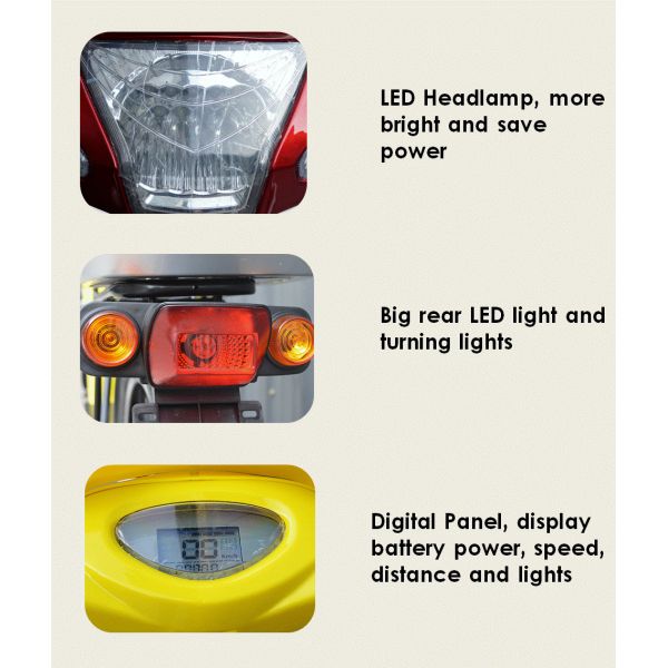 36V 350W Pedal Assist Electric Bike 24 Inch Wheel V Brake Rear Brushless Motor