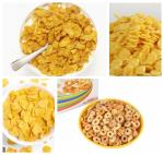 Big Capacity Breakfast Cereal Production Line Double Screw