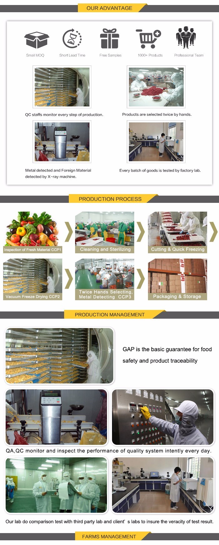 Bulk items fd vegetables freeze dried wholesale carrots
