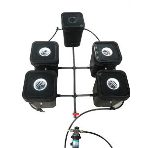 China Black Indoor Marijuana Hydroponic Dutch Bucket Aeroponic Grow System wholesale