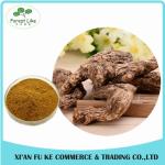 100% Pure Natural Dong Quai Extract/Angelica Root Extract Powder