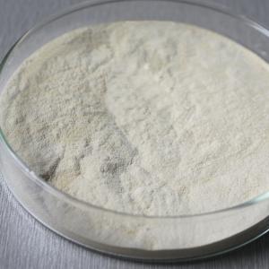 China 1200000U/G 2400GDU Bromelain Powder Protease Soluble In Water wholesale