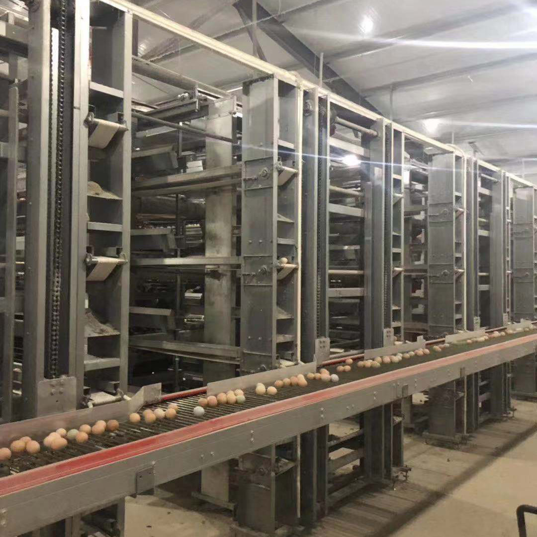 Running Feeder Battery Cage For Poultry , Custom Height Modern Chicken Cages