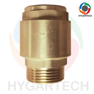 China Male X Female Pump Suction European York Check Valve Brass Material wholesale