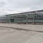 Multi-span Agricultural Greenhouses Venlo Tempered Glass Greenhouse With