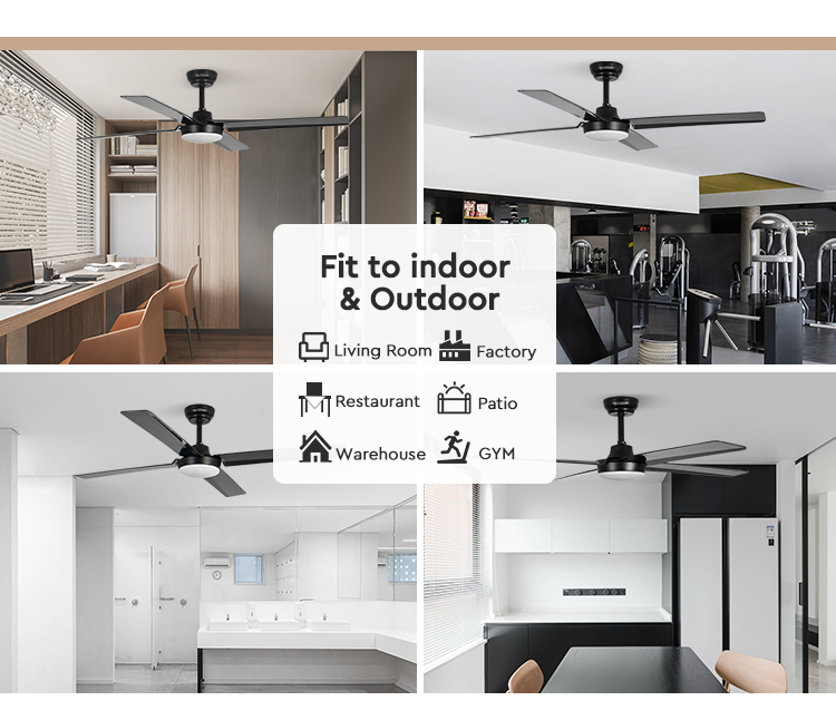 Energy Saving DC Motor ABS Ceiling Fan with 4000K Color Temperature and Elegant Design
