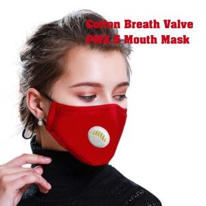 China Anti Haze Valved Dust Mask KN95 wholesale