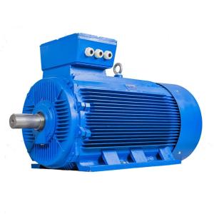 China 3 Phase Squirrel Induction Motor Double Cage wholesale