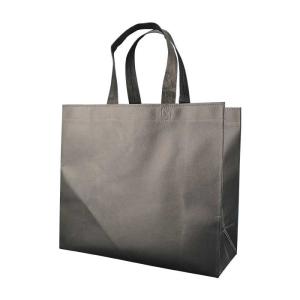 China UV Protection Recycle Non Woven Shopping Bags 125gsm Eco Friendly wholesale