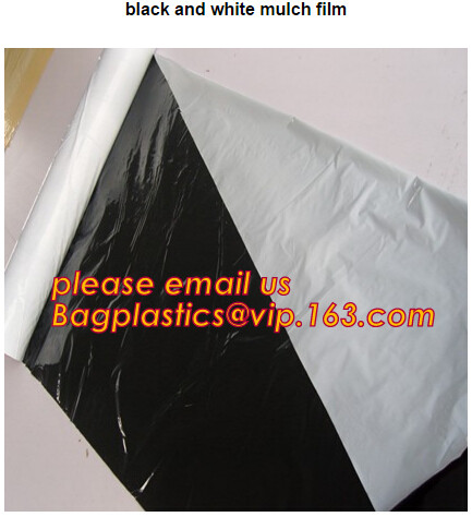 Panda Film for Blackout Greenhouse/Black-White Poly is UV-Stabilized Plastic Mushroom,0.1mm 0.12mm 0.15mm 0.18mm 0.2mm 0