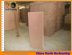 China Poultry farm evaporative cooling pad with black coating wholesale