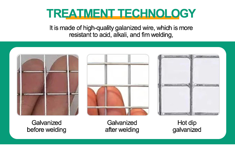 Custom Attractive Type Welded Wire Mesh Fencing Iron Wire Mesh with Anti-corrosion