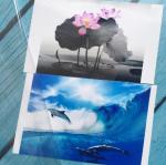 3D Cat Eye Film Photo Cold Laminated Film, Transparent Three-dimensional Home