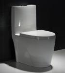 Map1000 Dual-Flush Elongated One-Piece Toilet Seat Included Small Bathroom