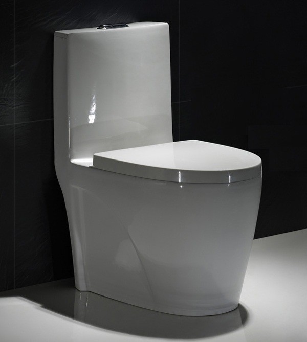 Map1000 Dual-Flush Elongated One-Piece Toilet Seat Included Small Bathroom