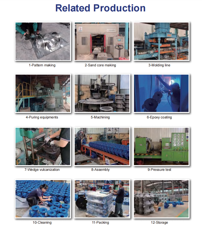 SUS304 316 Ductile Iron Y Type Strainer for Medium Temperature Water Treatment System