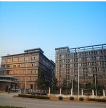 Bella Textile Limited