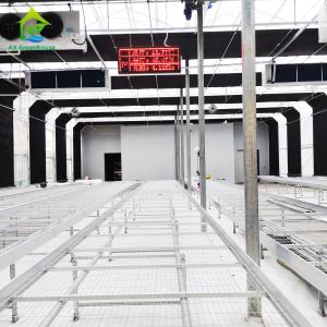China Vegetables Blackout Light Dep Green House 70m Length Caterpillar Tunnel Greenhouse wholesale