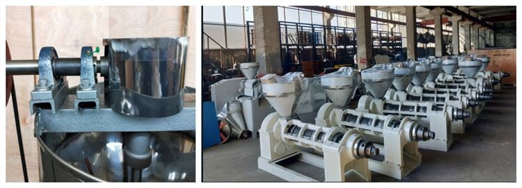 ZX130 450-500kg/H Electric Oil Press Machine Low Power Consumption Refined Crafts