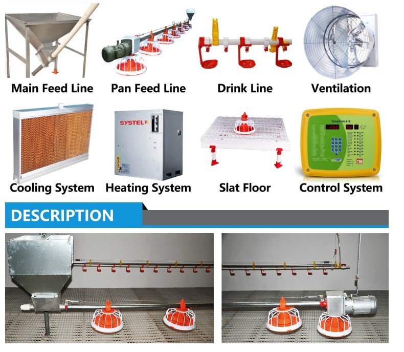 Farm Duck 100pcs Pan Feeder Poultry In Modern Automatic Feeding System