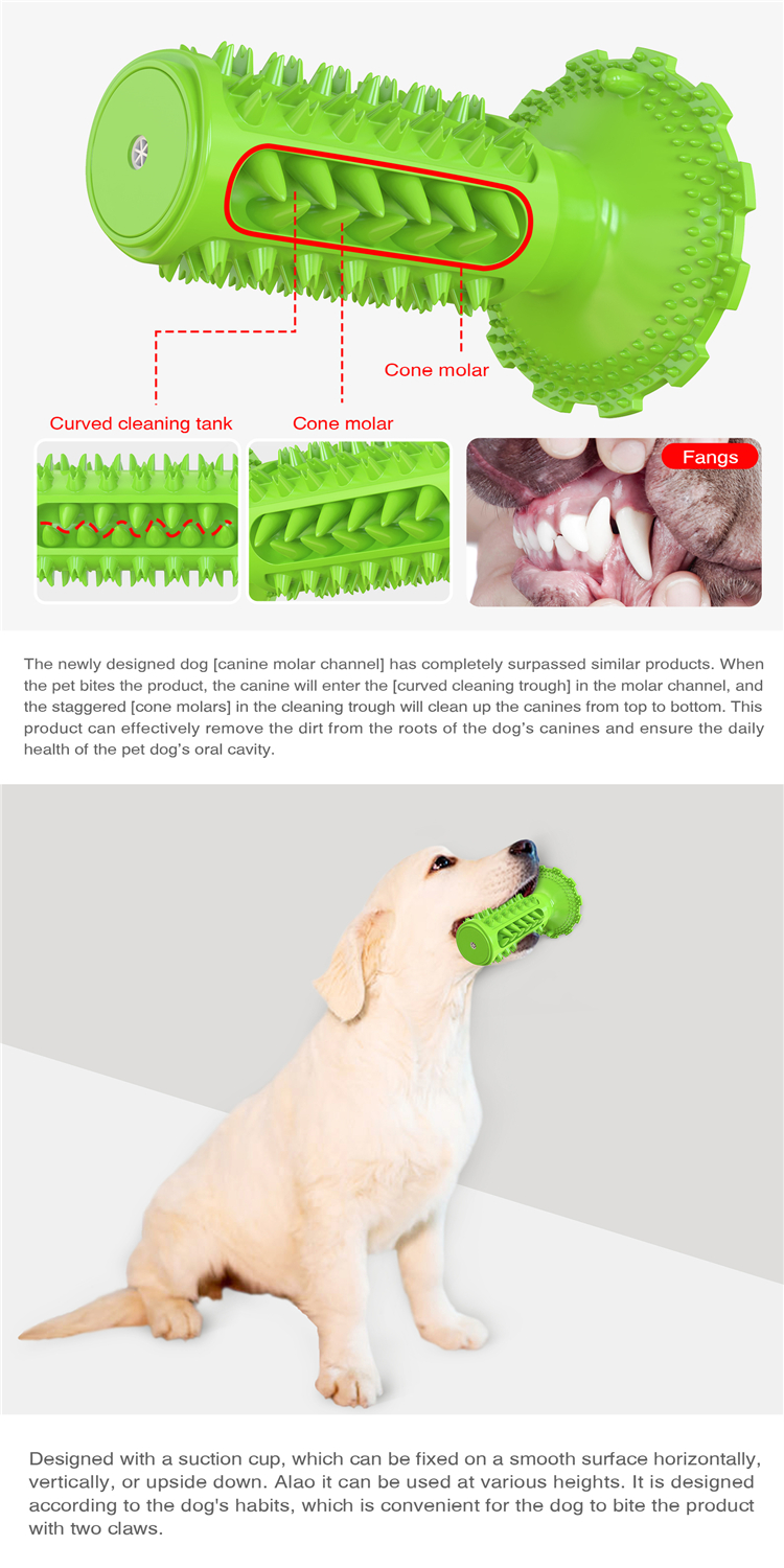 Professional Manufacturer Supply Classical Tpr Dog Squeaky Sounding Toothbrush Dog Interactive Toy