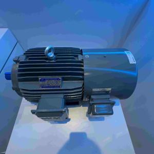 China Water Resistant Dust Proof Permanent Magnet Synchronous Motors With GOST wholesale