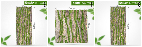 Real Touch Dired Flower Artificial Vertical Garden Tree Bark Natural Colour