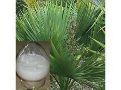 China Herb medecine Saw Palmetto Extract Fatty acid 45% wholesale