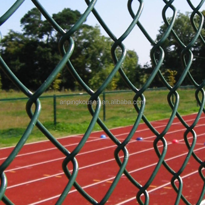 1mx30m Welded Mesh Cages for Chicken Galvanized and Pvc Coated Budget-friendly Choice