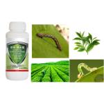 Tea Plant Organically Approved Pesticides Chemical Spray EoNPV Nuclear