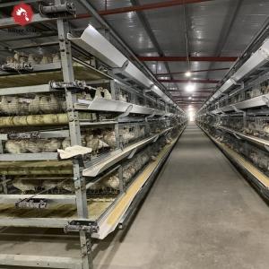 China Galvanized Steel Broiler Poultry Farm Equipment H Type 10000 Birds Battery Broiler Poultry Chicken Cage wholesale