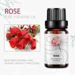 Skin OEM Essential Oil Cosmetic Aromatic 100% Pure Rose Essential Oil