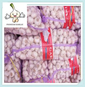 China High Quality Wholesale Price Fresh Natural Organic Garlic 2015 fresh white garlic exporter wholesale