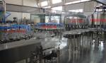 Pure Water Glass Bottle Filling Machine 24000bph 12kw SUS304