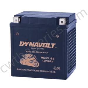 China 12V 30Ah Recreational Vehicle Batteries 125CC Four Wheeler Battery DYNAVOLT MG30L-BS-C wholesale
