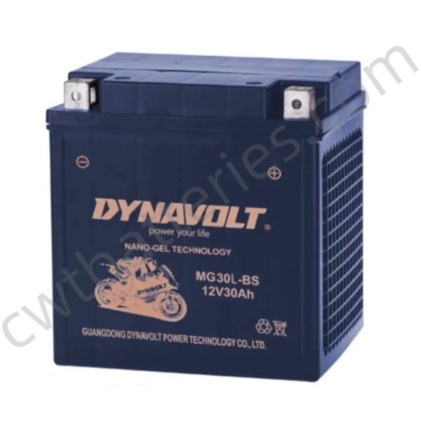12V 30Ah Recreational Vehicle Batteries 125CC Four Wheeler Battery DYNAVOLT
