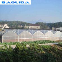 China 200 Micron PE Film Multi Span Greenhouse Structure / Polyethylene Foil Greenhouse wholesale
