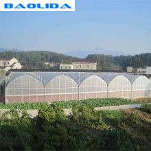 200 Micron PE Film Multi Span Greenhouse Structure / Polyethylene Foil