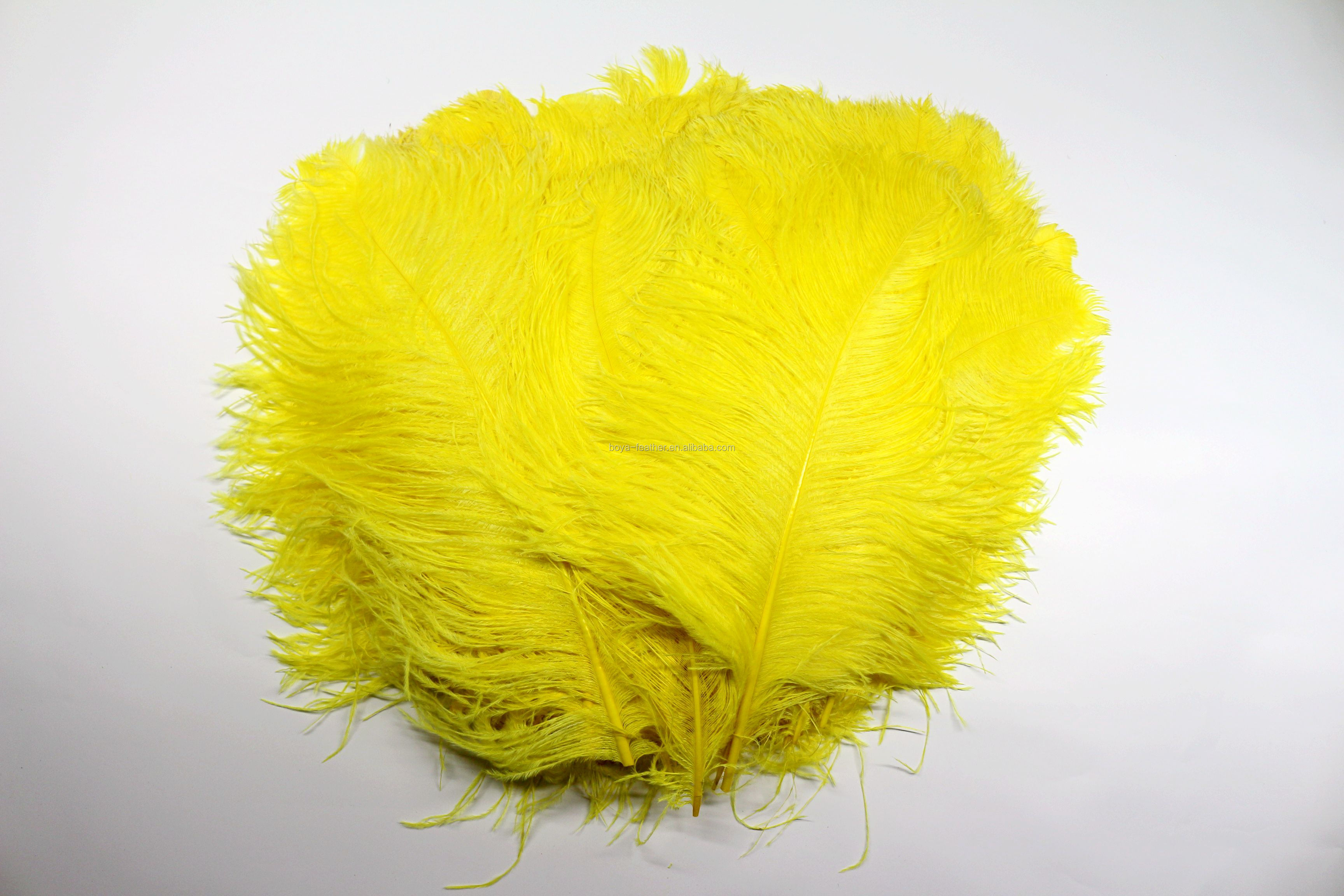 Carnival Costumes Decoration Millinery Feather , Ostrich Plume Feathers Multi Colored