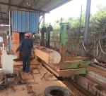 60 Inch Wood Cutting Vertical Bandsaw Mill With Log Carriage,Log Band Sawmill