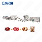 Commercial Fruit Washing And Draying Processing Line Multi-Function Cilantro