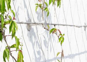China 60mm*60mm Hole Stainless Steel Rope Mesh Green Wall For Greening wholesale