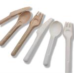 Compostable Food Safe Bagasse Spoon Sugarcane Utensils Water Resistant