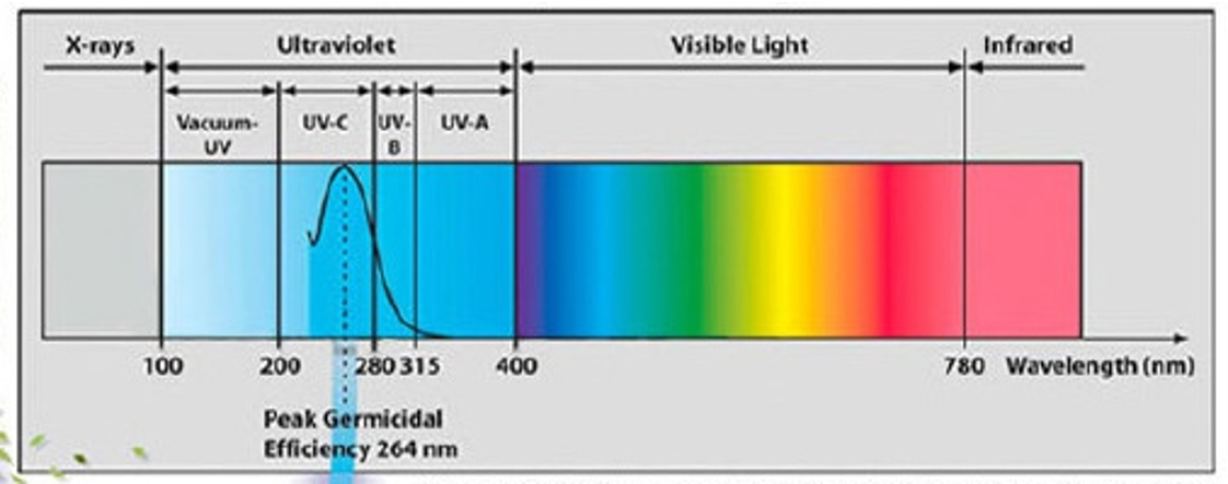 Uv Tunnel Ultraviolet Sterilizing Lamp Water Treatment For Food Beverage Plant