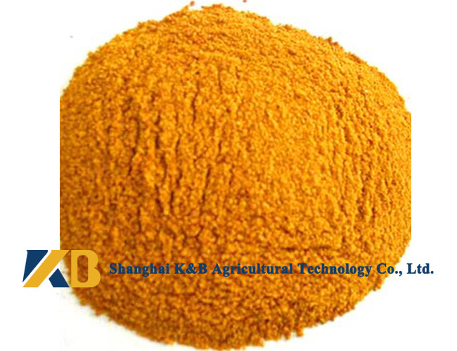 Feed Grade Healthy Corn Protein Powder ISO HACCP Certificate For Fodder